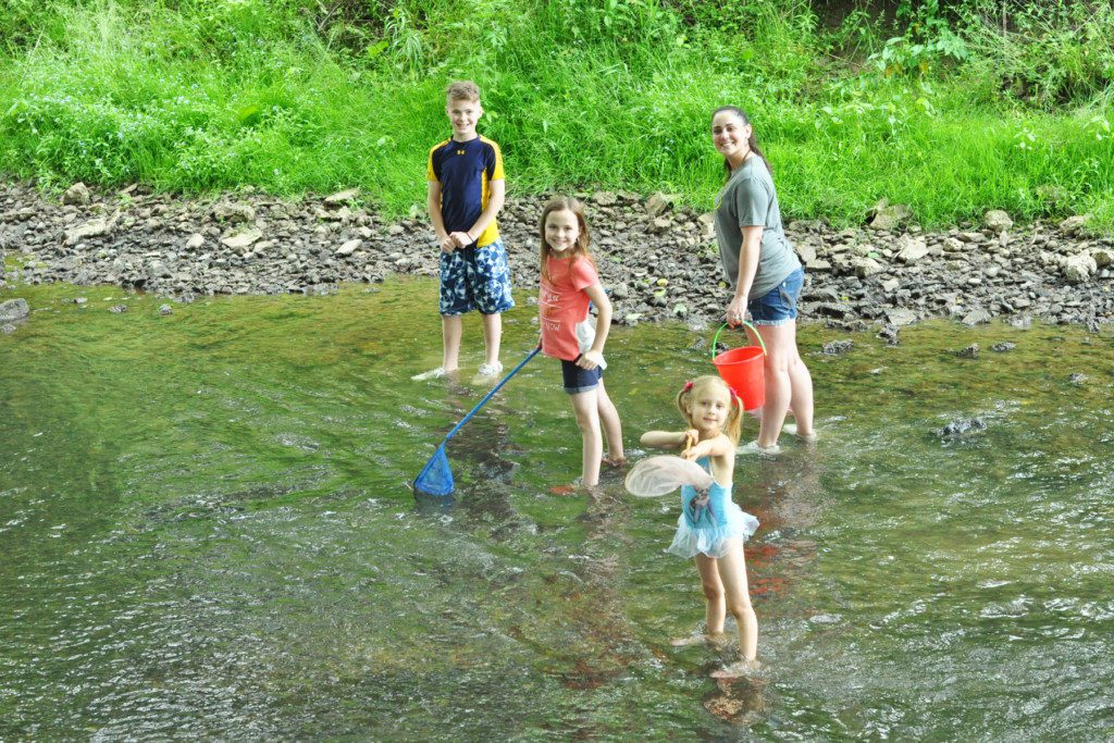 Kids Activities Creek Walk