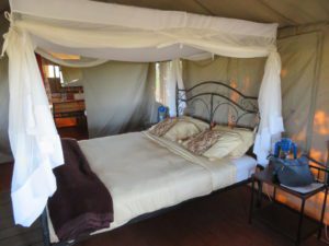 Our accommodations in the Tarangire River camp. Beyond the bed is a fully functioning bathroom. During the night that we stayed here, elephants wandered directly through the camp between the tents.