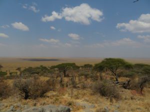 Taken from a hilltop on the Serengeti plains.
