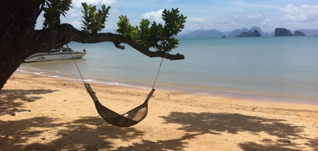 A hammock hanging from a tree on a beach overlooking the water. 
